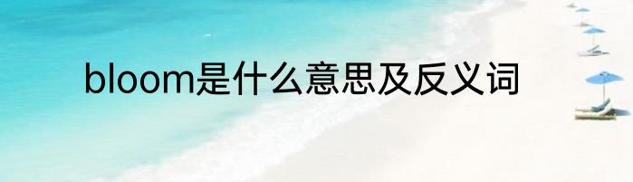 bloom是什么意思及反义词