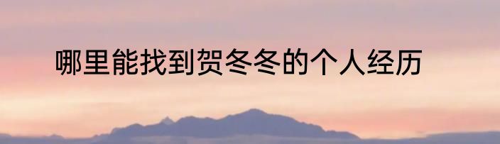 哪里能找到贺冬冬的个人经历