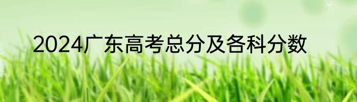 2024广东高考总分及各科分数