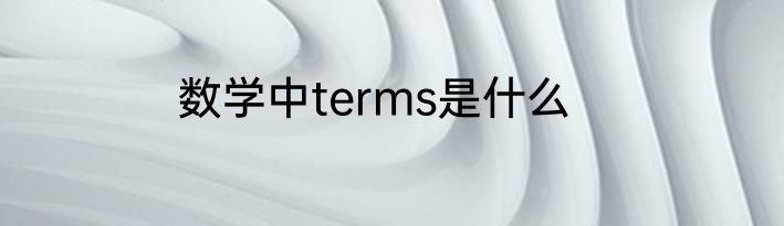 数学中terms是什么