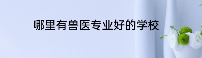 哪里有兽医专业好的学校