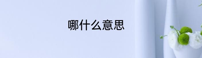 哪什么意思