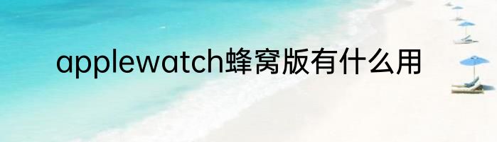 applewatch蜂窝版有什么用