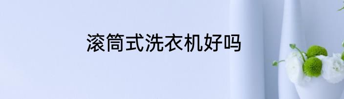 滚筒式洗衣机好吗