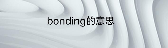 bonding的意思