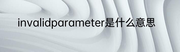 invalidparameter是什么意思