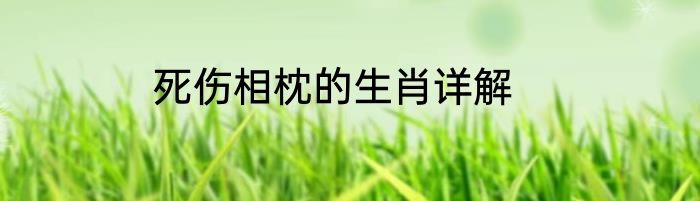 死伤相枕的生肖详解