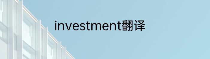 investment翻译