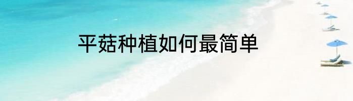 平菇种植如何最简单