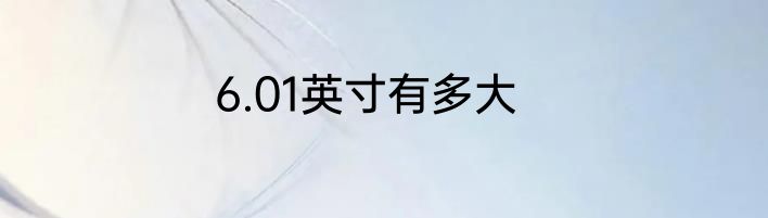 6.01英寸有多大