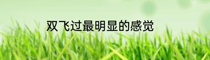 双飞过最明显的感觉