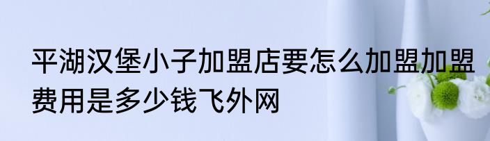 平湖汉堡小子加盟店要怎么加盟加盟费用是多少钱飞外网