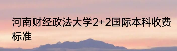 河南财经政法大学2+2国际本科收费标准