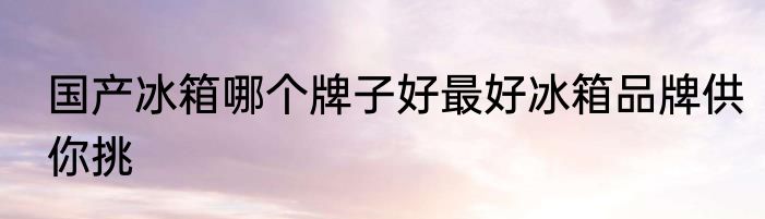 国产冰箱哪个牌子好最好冰箱品牌供你挑