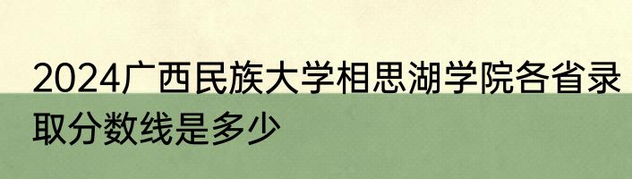 2024广西民族大学相思湖学院各省录取分数线是多少