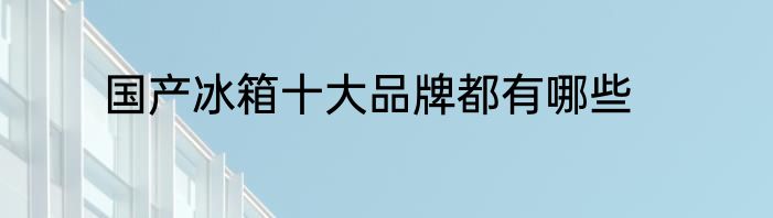 国产冰箱十大品牌都有哪些