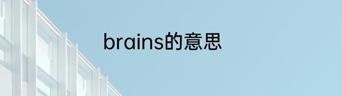 brains的意思