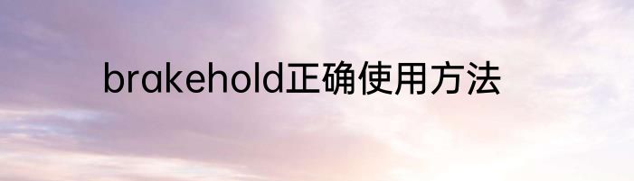 brakehold正确使用方法