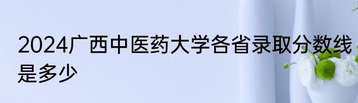 2024广西中医药大学各省录取分数线是多少