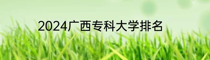 2024广西专科大学排名