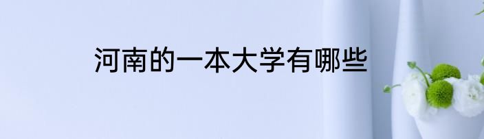 河南的一本大学有哪些