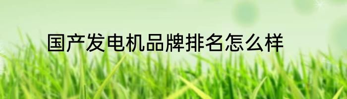 国产发电机品牌排名怎么样