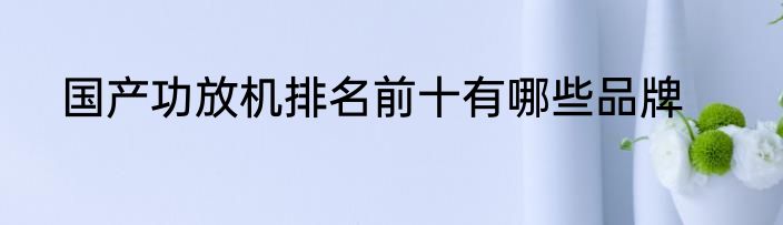 国产功放机排名前十有哪些品牌