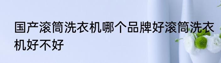 国产滚筒洗衣机哪个品牌好滚筒洗衣机好不好