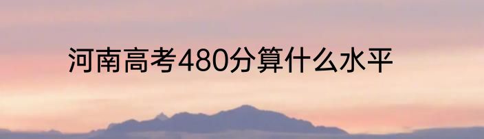 河南高考480分算什么水平