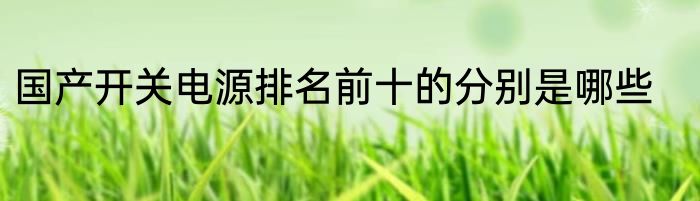 国产开关电源排名前十的分别是哪些