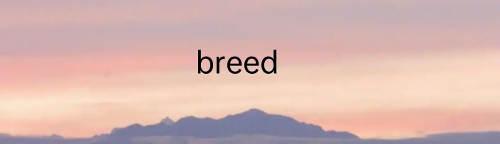 breed