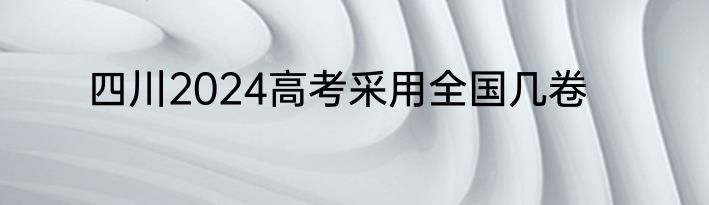 四川2024高考采用全国几卷