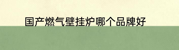 国产燃气壁挂炉哪个品牌好