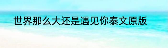 世界那么大还是遇见你泰文原版