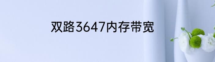 双路3647内存带宽