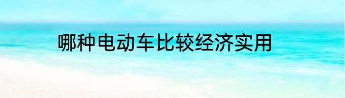 哪种电动车比较经济实用