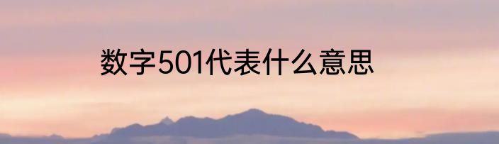 数字501代表什么意思