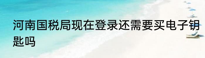 河南国税局现在登录还需要买电子钥匙吗