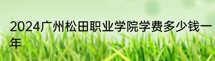 2024广州松田职业学院学费多少钱一年