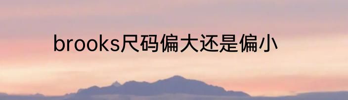 brooks尺码偏大还是偏小