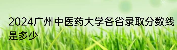 2024广州中医药大学各省录取分数线是多少