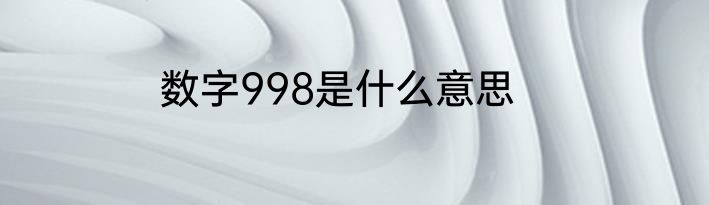 数字998是什么意思