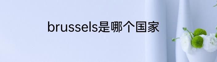 brussels是哪个国家