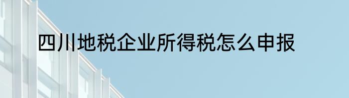 四川地税企业所得税怎么申报