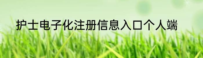 护士电子化注册信息入口个人端
