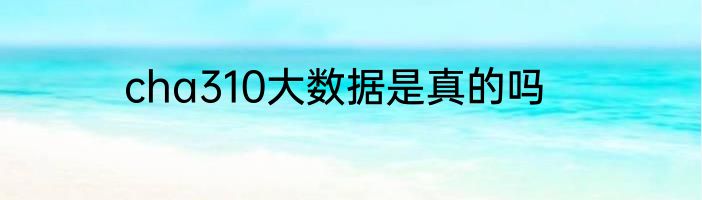 cha310大数据是真的吗