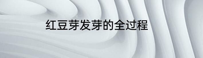 红豆芽发芽的全过程