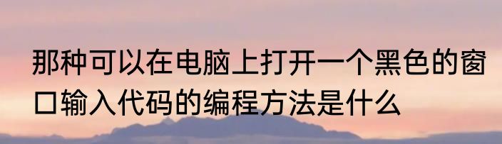 那种可以在电脑上打开一个黑色的窗口输入代码的编程方法是什么
