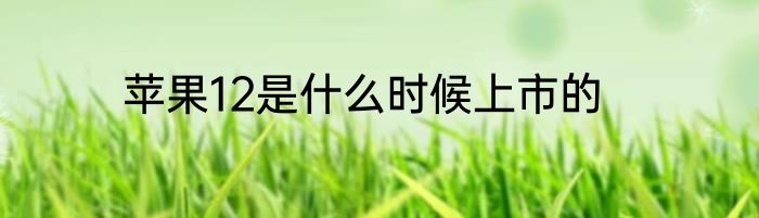 苹果12是什么时候上市的
