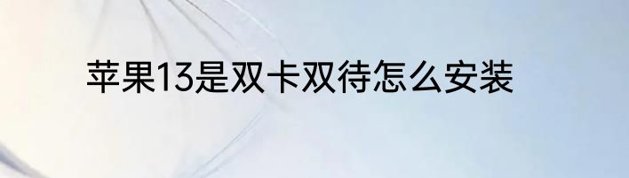 苹果13是双卡双待怎么安装